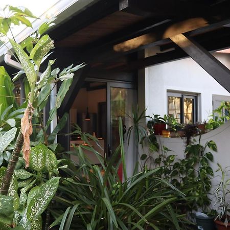Luxury Cosy Guesthouse パンプルムース エクステリア 写真